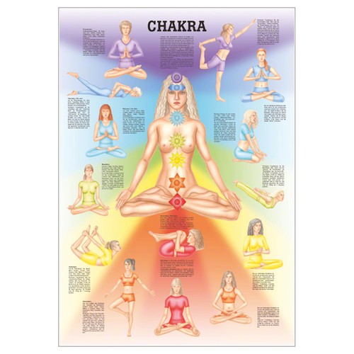Chakra mini poster - mini-poster, anatomie