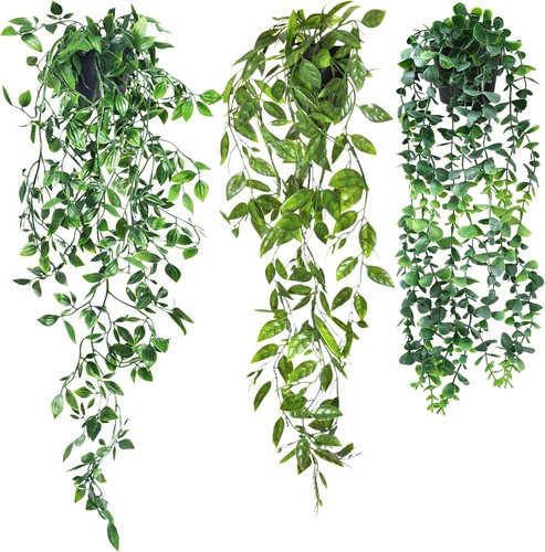 Pack hanging plants - 3,