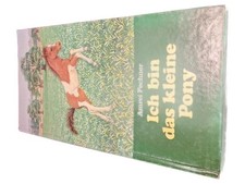 Amrei Fechner Ich bin das