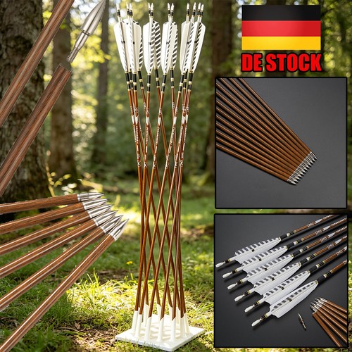 12x carbonpfeile mit - 31", 5''