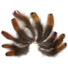 DEKO BASTEL FEDERN (1Pack á 10-12 St.) Karneval Fasching Vogel Kostüm Zubehör