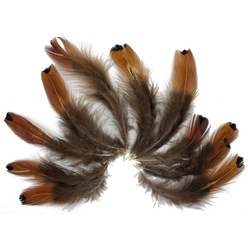 Deko bastel federn 1pack - bastel, (1pack