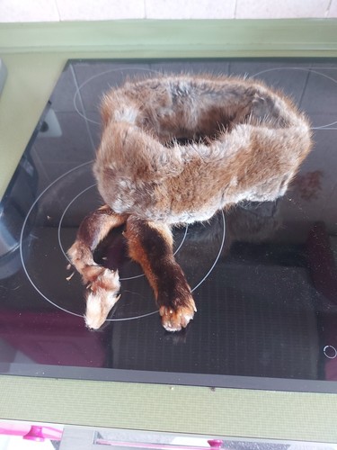 Nerzstirnband mit pfötchen - nerzstirnband,