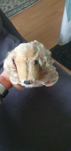 Original steiff dackel - steiff, aus