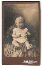 Fotografie Wilh. Schroers