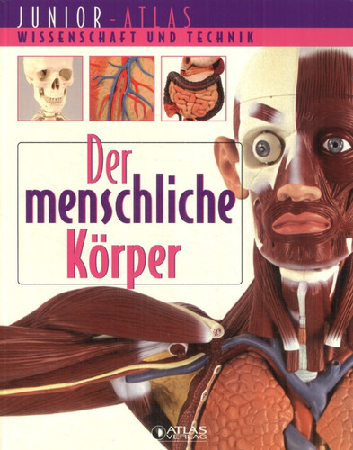 Der menschliche körper von - menschliche,