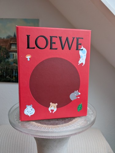 Loewe cute designer box - cute,
