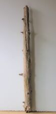 Treibholz Schwemmholz Driftwood  1 XXL  Stamm Dekoration Basteln 121 cm