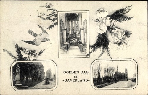 Melsele beveren - ak,