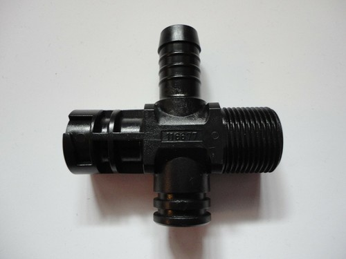 Holder vogel noot original - vogel,