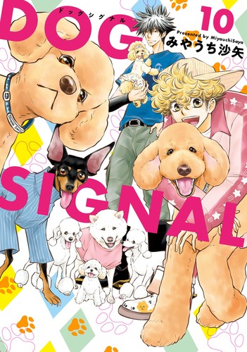 Saya miyauchi dog - dog, 10