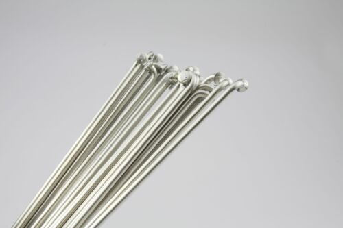 Speiche swiss champion - speiche,