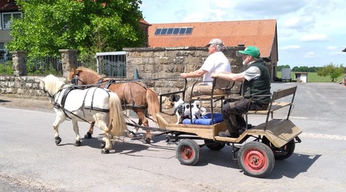 Kutsche für ponys - kutsche,