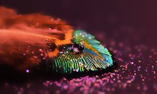 POSTER XXL POP ART FEDER REGEN