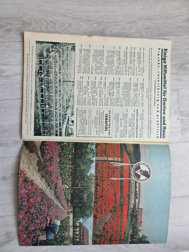 Vintage 1948 katalog - vintage, pflanzen