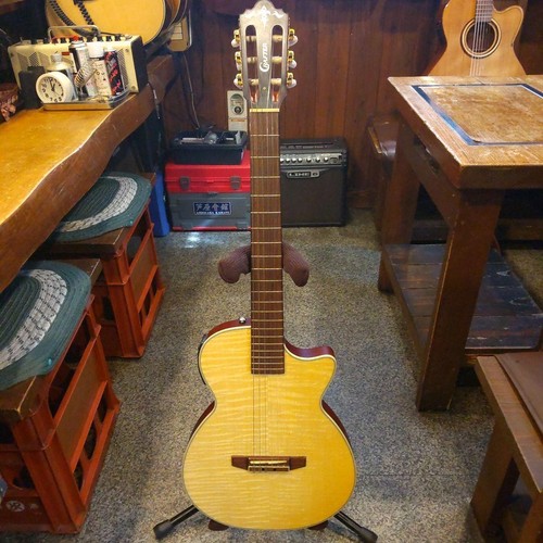 Elektrische akustikgitarre - elektrische,