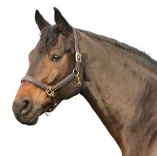 Euroriding Leder Halfter Oakland Super Soft Natural Line dunkelbraun Messing