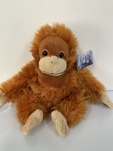 Island ravensden orang - island, orang-utan