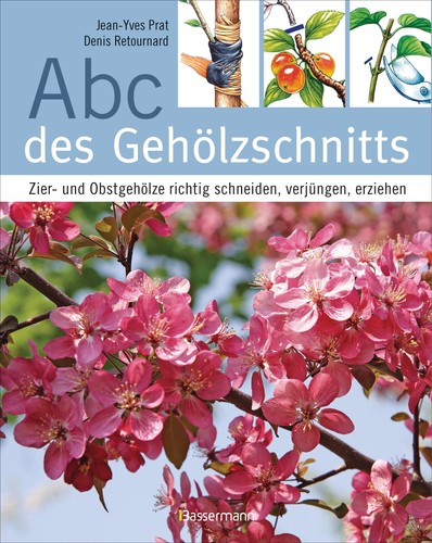 Abc des gehölzschnitts denis - abc,
