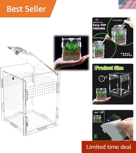 High clarity reptile terrarium - reptile,