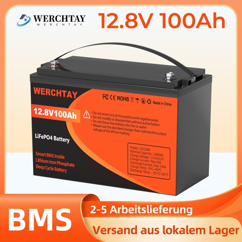 12v 100ah lifepo4 lithium - 12v,