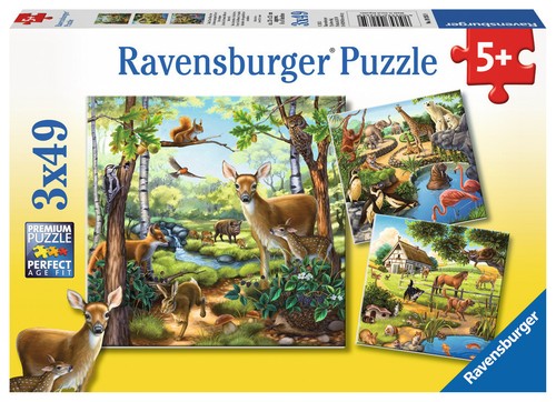 Teile ravensburger - x,