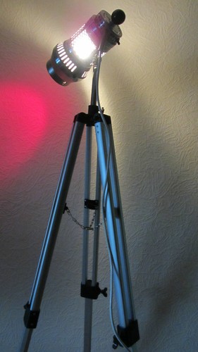 Veb grandiosa graziöse tripod - graziöse,