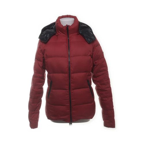 Closed daunenjacke damen - closed,, daunenjacke,
