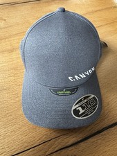 Canyon Curved Cap Grey NEU