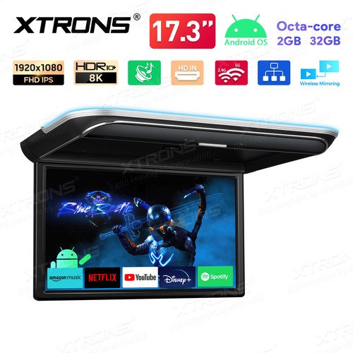 Fhd deckenmonitor - 17.3",