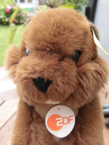Biber plüschtier zdf - zdf, olympia