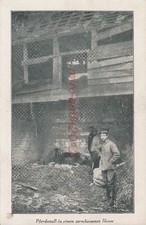 AK, Foto, WK1, Rethel (Fr.) - Pferdestall i. zersch. haus, 1914-15; 5026-34