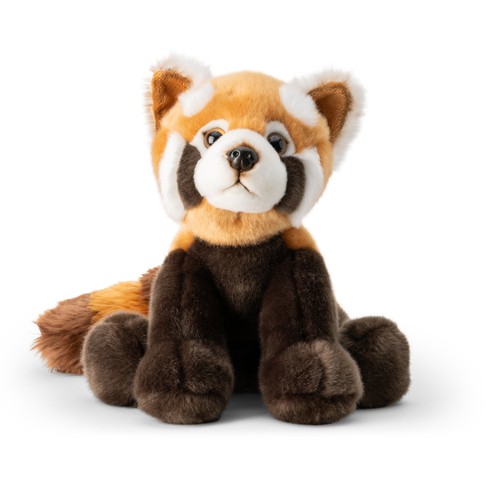 Roter panda animigos - roter,
