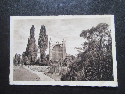 Berlin dahlem botanischer - dahlem,