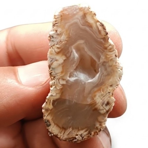 Achat geode federmuster - achat,
