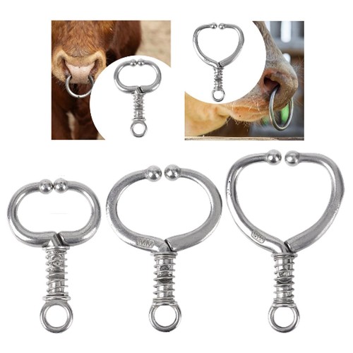 Rinder bullennasenring caw - rinder,