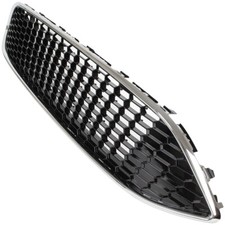 KÜHLERGRILL ZWISCHEN DEN