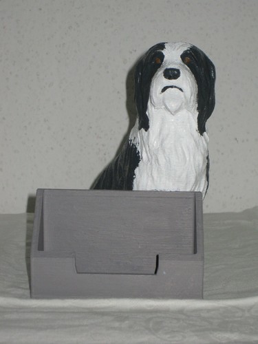 Bearded collie als - collie,