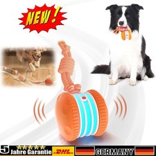 Interaktiver Hundespielzeug