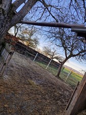 Offenstall Platz frei