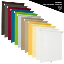 Springrollo Standard-Rollo Lichtdurchlässig Tageslicht Mittelzugrollo Zugrollo