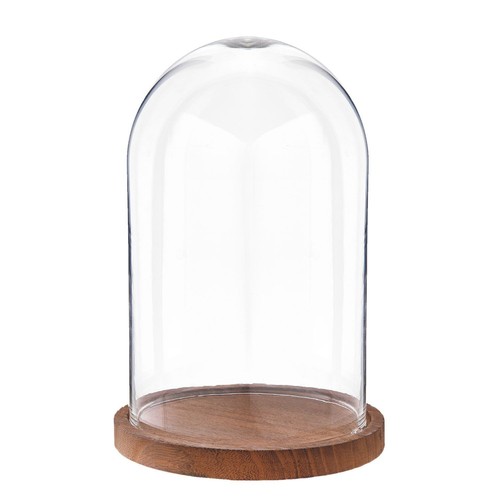 Glasglocke klein mit - , braunem