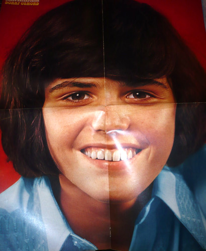 Donny osmond dina2 bravo - donny,