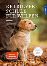 Retrieverschule für Welpen |
