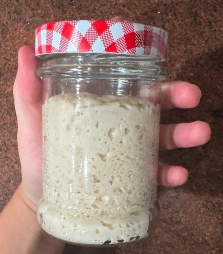 Livieto madre sauerteig - livieto, sauerteig/