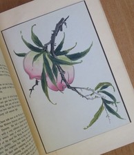 "FROM A CHINESE GARDEN" Peking (1942) MIT CHINESISCHEN ORIG Farb HOLZSCHNITTE