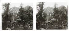 Montagne Wald Platte De Verre