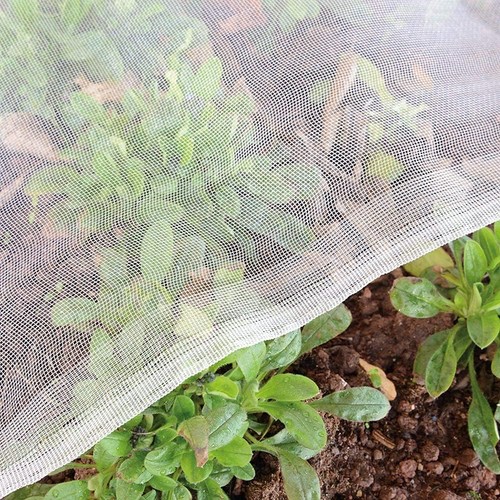 Gemüse schutznetz 5x5m - gemüse,