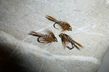 4 St. Goldkopf MÄRZBRAUNE