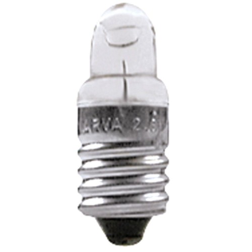 Linsenlampe spitzlinsenlampe - linsenlampe,